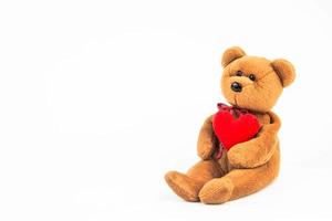 teddy bear on white background photo