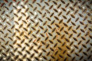 Texture of Metal and rust stains background closeup , Abstract background, empty template photo