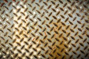 Texture of Metal and rust stains background closeup , Abstract background, empty template photo