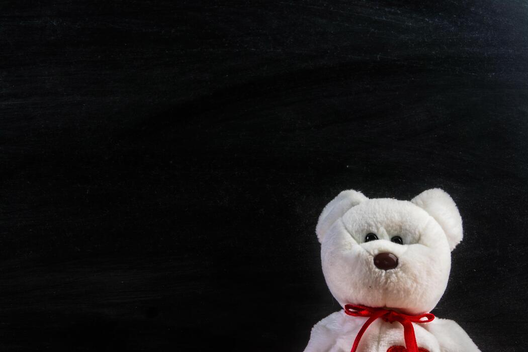 Teddy Bear Invitation Stock Photos, Images and Backgrounds for Free