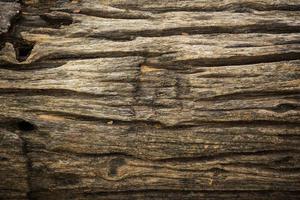 wood wall backdrop for  background photo