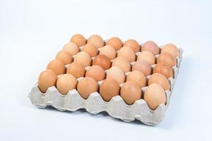 Egg in an egg crate on white background photo