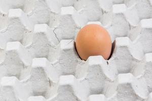 huevo en una caja de huevos sobre fondo blanco foto