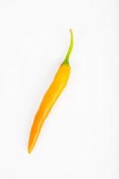 chilli  pepper  on white background photo