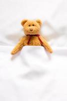 Teddy Bear doll lying in the white bed photo