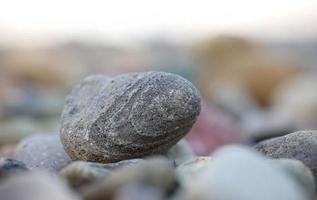 guijarro gris liso con patrón entre otras rocas coloridas. foto