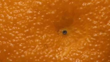 Extreme close up shot of Orange fruit skin photo