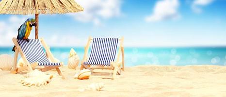 Parrot on tropical beach in the sun on deck chairs under umbrella. photo