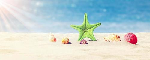 Starfish and seashells on the sunny beach. Summer holiday background