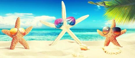 Starfish with sunglases on the sunny beach. Summer holiday background photo