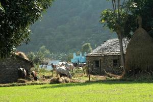 Village on lap of Mountain photo