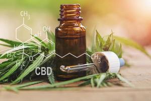 hierba de cannabis y hojas con extractos de aceite en frascos. concepto médico - fórmula cbd foto