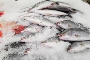 Fresh fishes on ice in market photo