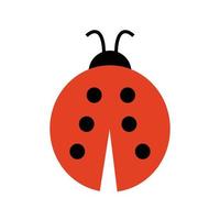 Beetle Line Icon vector