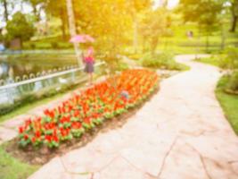 Walkway in the flowers garden blur background photo