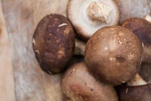 setas shiitake sobre fondo de madera foto