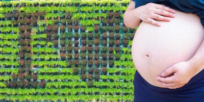 Pregnant woman touching her belly in the garden, love concept photo