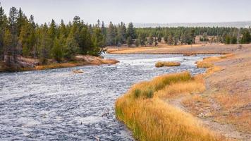 Flowing river inside Yellowstone national park, Wyoming, USA.