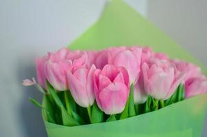 Tulips flowers bouquet with pink tulips in green paper photo