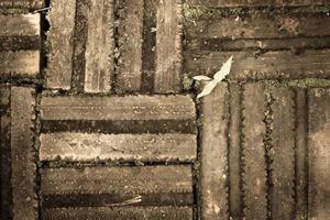 Flooring from old bricks with moss photo