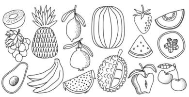 fresh fruit doodle vector set. vector illustration