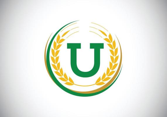 Initial letter U sign symbol with wheat ears wreath. Organic wheat farming logo design concept. Agriculture logo design vector template.