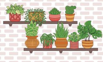 Houseplants in pots on wooden home shelves against brick wall background vector