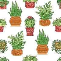 Seamless pattern with home plants ficus, chlorophytum, cacti and succulents aloe in pots vector