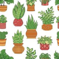 patrón impecable con plantas caseras ficus, clorofito, cactus y suculentas en macetas vector