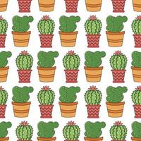 Seamless pattern with home plants cacti succulents in pots vector