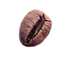 Roasted coffee bean isolated on white background with clipping path photo