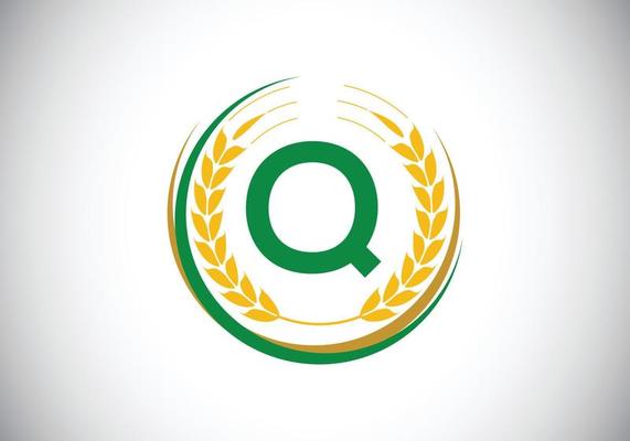 Initial letter Q sign symbol with wheat ears wreath. Organic wheat farming logo design concept. Agriculture logo design vector template.