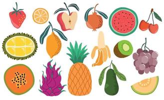 fresh fruit hand draw vector set. vector illustration