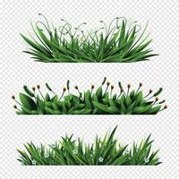 elementos de hierba verde vector