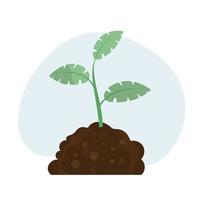 Sprout seedling shoot germination in the pile dirt soil. Young tree growing in the ground. Agricultural plant spring. Vector. vector