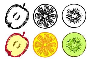 Hand-drawn vector illustration. Black-white, colored fruits, set. Apple, orange, kiwi, round slices.