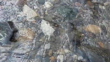 klarer und erfrischender Flusslauf video