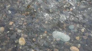 a stretch of small rocks in a clear and calm river flow video