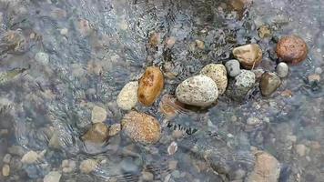 the arrangement of stones on the edge of a clear and soft river flow video