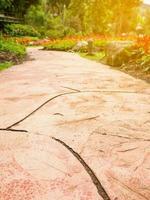 Walkway in the flowers garden photo