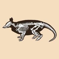 Skeleton nine banded armadillo vector illustration