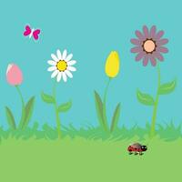 Spring and summer flowers in the garden vector