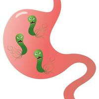 Vector Illustration Graphic of Helicobacter Pylori