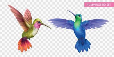 Hummingbird Realistic Transparent Set vector
