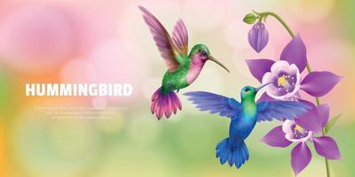 ilustración de fondo de colibrí vector