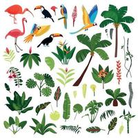 Jungle Plant Bird Flowers Icon Set vector