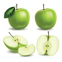 conjunto de manzana realista vector