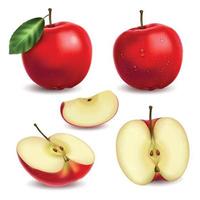 conjunto de manzanas realistas vector