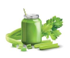 Realistic Celery Composition vector