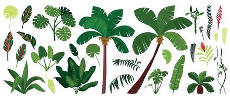 Jungle Plant Icon Set vector